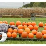 Huckleberry Trail Farm photo