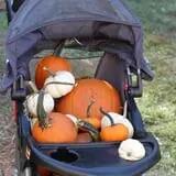 Huckleberry Trail Farm photo