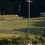 Huckleberry Trail Farm photo