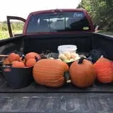 Huckleberry Trail Farm photo