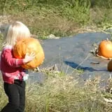 Huckleberry Trail Farm photo
