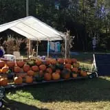 Huckleberry Trail Farm photo