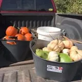 Huckleberry Trail Farm photo