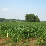 Huckleberry Trail Farm photo