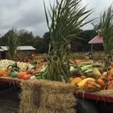 Maple Leaf Farms Funfest photo