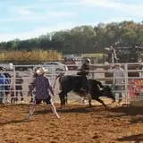 Maple Leaf Farms Funfest photo