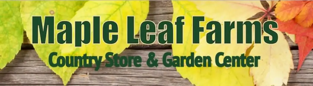 Maple Leaf Farms Funfest Cover Photo