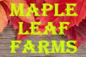 Maple Leaf Farms Funfest