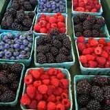 Wickham's Fruit Farm photo