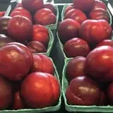 Wickham's Fruit Farm photo