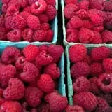 Wickham's Fruit Farm photo