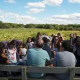 Wickham's Fruit Farm photo