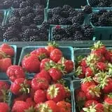 Wickham's Fruit Farm photo