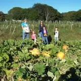 Wickham's Fruit Farm photo