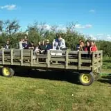 Wickham's Fruit Farm photo