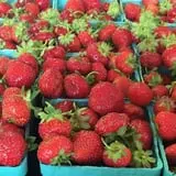 Wickham's Fruit Farm photo