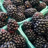 Wickham's Fruit Farm photo