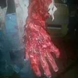 Haunted Forest at Panic Point photo