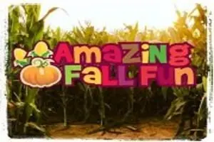 Amazing Fall Fun Corn Maze and Pumpkin Patch