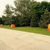 Bulitz Pumpkin Farm photo