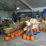 Bulitz Pumpkin Farm photo