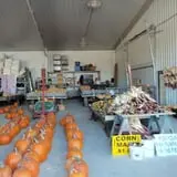 Bulitz Pumpkin Farm photo