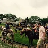 Bulitz Pumpkin Farm photo