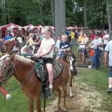 Bulitz Pumpkin Farm photo