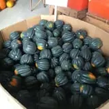 Bulitz Pumpkin Farm photo