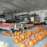 Bulitz Pumpkin Farm photo