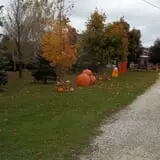 Bulitz Pumpkin Farm photo
