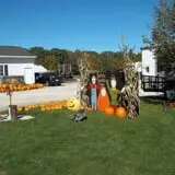 Bulitz Pumpkin Farm photo