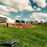 Bulitz Pumpkin Farm photo