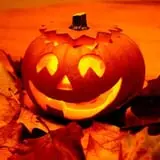 Bulitz Pumpkin Farm photo