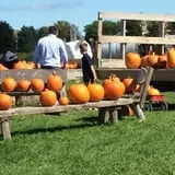 Bulitz Pumpkin Farm photo