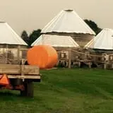 Bulitz Pumpkin Farm photo
