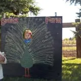 Bulitz Pumpkin Farm photo