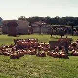 Bulitz Pumpkin Farm photo