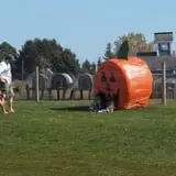 Bulitz Pumpkin Farm photo