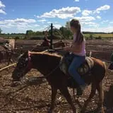 Bulitz Pumpkin Farm photo