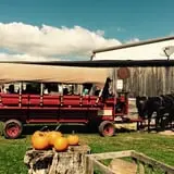 Bulitz Pumpkin Farm photo