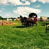 Bulitz Pumpkin Farm photo