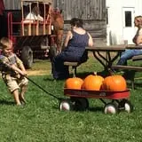 Bulitz Pumpkin Farm photo