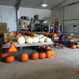 Bulitz Pumpkin Farm photo