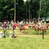 Bulitz Pumpkin Farm photo