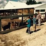 Bulitz Pumpkin Farm photo