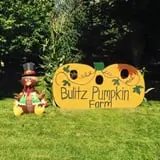 Bulitz Pumpkin Farm photo