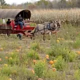 Bulitz Pumpkin Farm photo