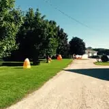 Bulitz Pumpkin Farm photo