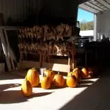 Bulitz Pumpkin Farm photo